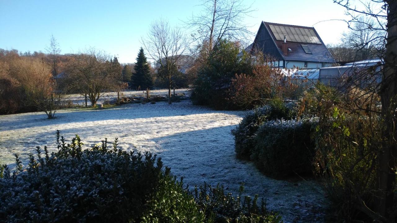 Twete Detmold